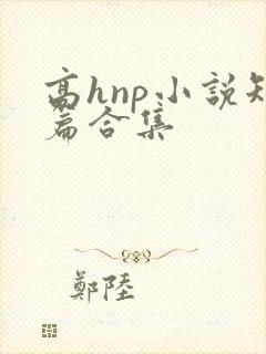 高hnp小说短篇合集