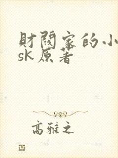 财阀家的小儿子sk原著