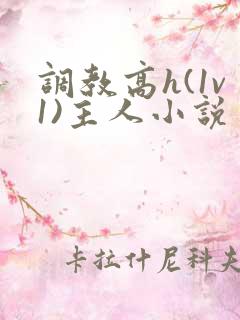 调教高h(1v1)主人小说