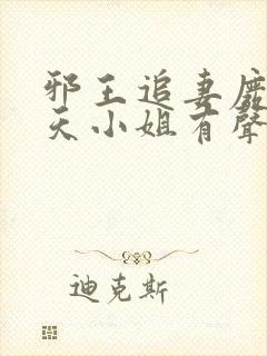 邪王追妻废材逆天小姐有声书