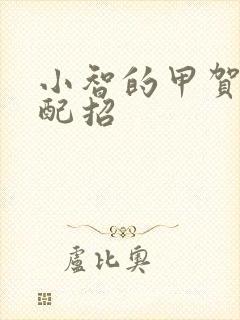 小智的甲贺忍蛙配招