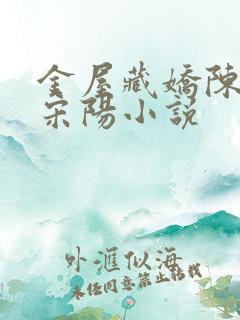 金屋藏娇陈丽珍宋阳小说