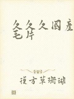 久久久国产精品毛片