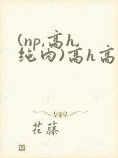 (np,高h,纯肉)高h高辣h