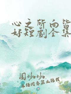 心之所向皆为美好短剧全集