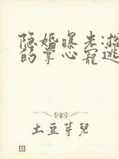 隐婚曝光:总裁的掌心宠逃婚了贺聿舟姜棠