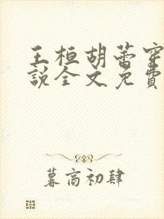 王桓胡蕾穿越小说全文免费阅读