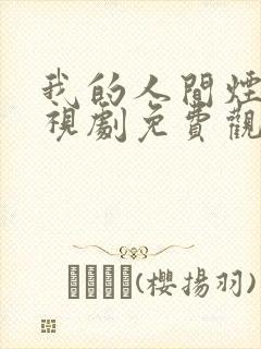 我的人间烟火电视剧免费观看