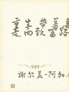 重生 带着妻儿走向致富路