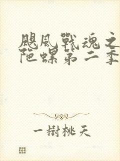 飓风战魂之剑旋陀螺第二季