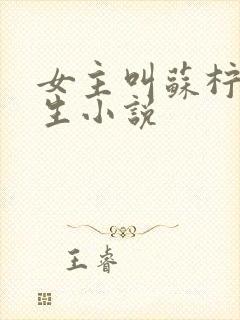 女主叫苏柠的重生小说