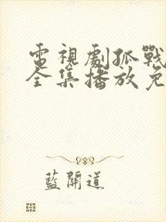 电视剧孤战迷城全集播放免费观看