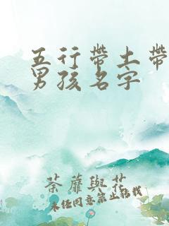 五行带土带金的男孩名字