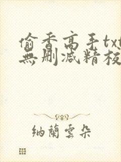 偷香高手txt无删减精校全本下载