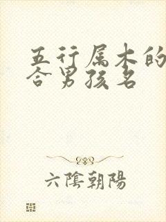 五行属木的字适合男孩名