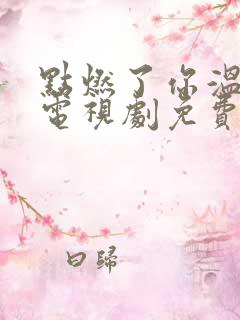 点燃了你温暖我电视剧免费观看