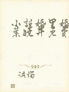 小说婚里婚外 叶晓井免费阅读