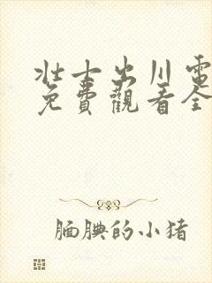 壮士出川电视剧免费观看全集