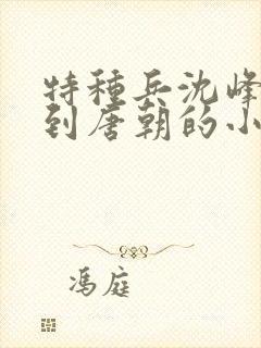 特种兵沈峰穿越到唐朝的小说