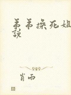 弟弟操死姐姐小说