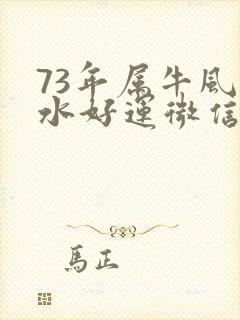 73年属牛风山水好运微信头像