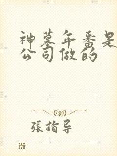 神墓年番是哪个公司做的