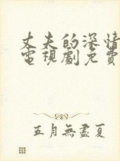 丈夫的深情谎言电视剧免费观看