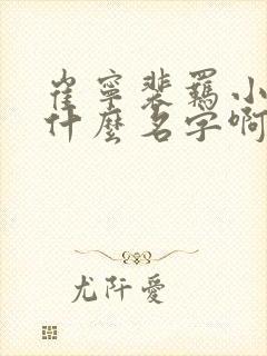 崔宁裴羁小说叫什么名字啊