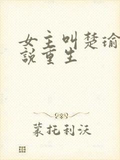 女主叫楚瑜的小说重生