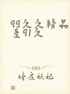 99久久精品国产91久