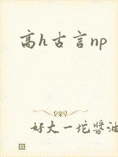 高h古言np