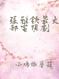 张雅钦最火的5部电视剧