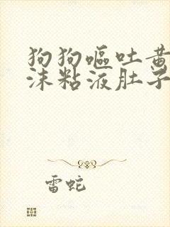 狗狗呕吐黄水泡沫粘液肚子咕噜响