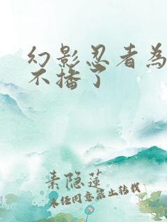 幻影忍者为什么不播了