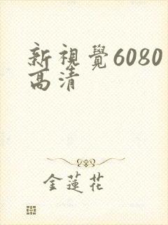 新视觉6080高清