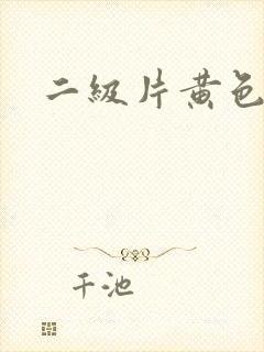 二级片黄色录像