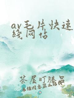 av毛片快速在线网站