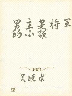 男主是将军姓萧的小说