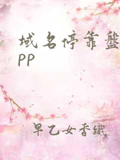 域名停靠盘他app