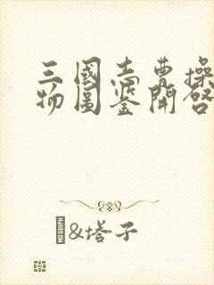 三国志曹操传宝物图鉴开启