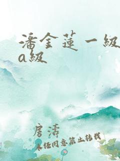 潘金莲一级淫片a级