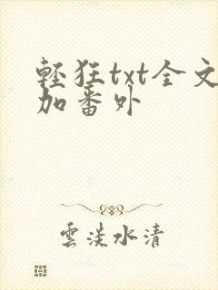 轻狂txt全文加番外