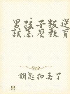 男孩子叛逆期应该怎么教育