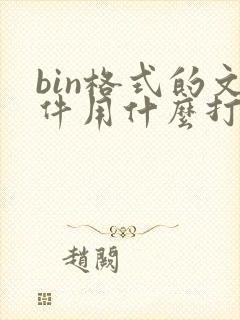 bin格式的文件用什么打开