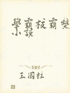 学霸校霸双男主小说