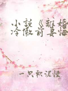 小说《离婚后,冷傲前妻悔恨终身》