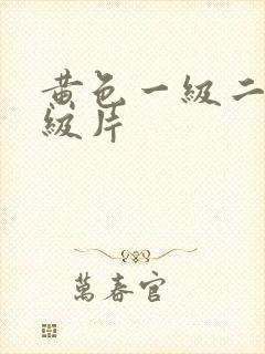 黄色一级二级特级片