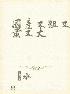 国产又粗又猛又黄又大