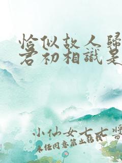 恰似故人归和与君初相识是一部电视剧吗