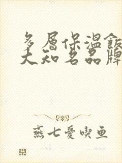 多层保温饭盒十大知名品牌